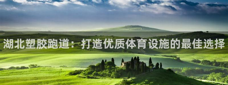 尊龙凯时公司官网：湖北塑胶跑道：打造优质体育设施的最佳选择