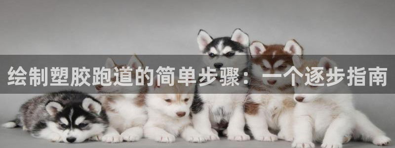 尊龙凯时网页版：绘制塑胶跑道的简单步骤：一个逐步指南