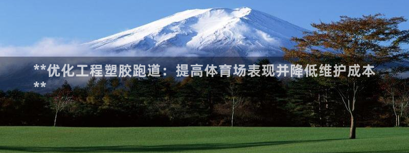 尊龙凯时官网：**优化工程塑胶跑道：提高体育场表现并降低维护成本
**