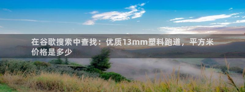 尊龙集团有限公司官网：在谷歌搜索中查找：优质13mm塑料跑道，平方米
价格是多少