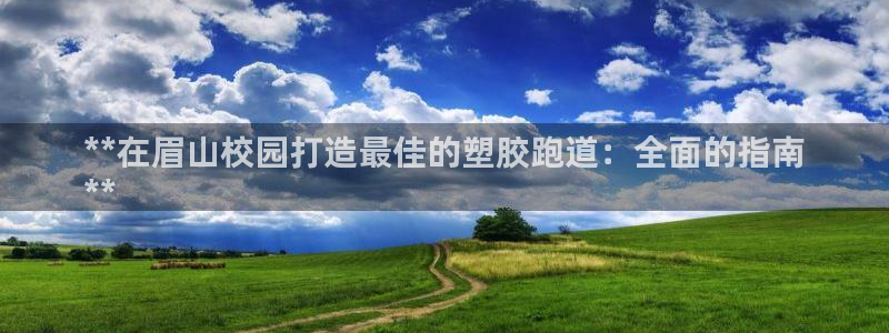 尊龙实业有限公司属于国企吗：**在眉山校园打造最佳的