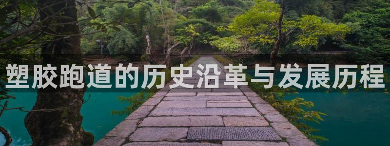 尊龙手机官方客户端下载：塑胶跑道的历史沿革与发展历程