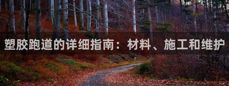 z6com尊龙凯时百家乐：塑胶跑道的详细指南：材料、