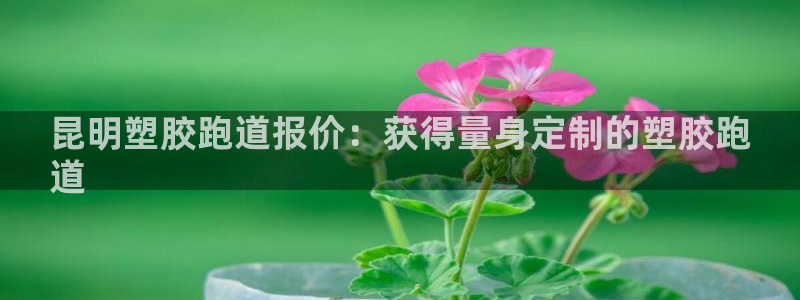 尊龙凯时老板：昆明塑胶跑道报价：获得量身定制的塑胶跑