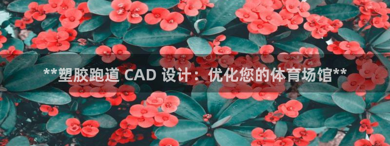 尊龙AG旗舰厅app下载：**塑胶跑道 CAD 设计