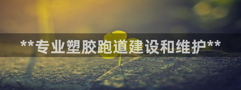 尊龙官网国际：**专业塑胶跑道建设和维护**