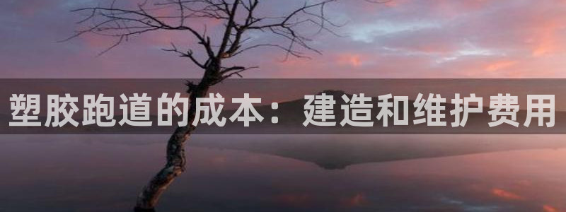 尊龙凯时注册地址：塑胶跑道的成本：建造和维护费用