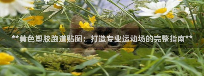 尊龙400：**黄色塑胶跑道贴图：打造专业运动场的完整指南**