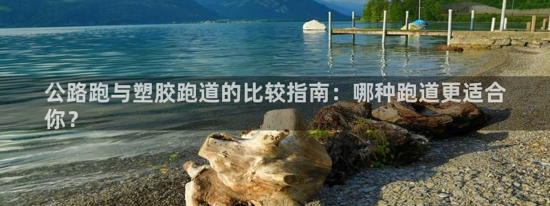 尊龙负面新闻：公路跑与塑胶跑道的比较指南：哪种跑道更