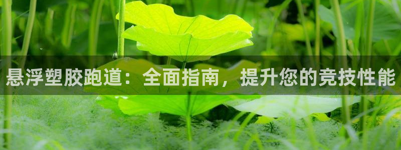 尊龙品牌怎么样：悬浮塑胶跑道：全面指南，提升您的竞技性能