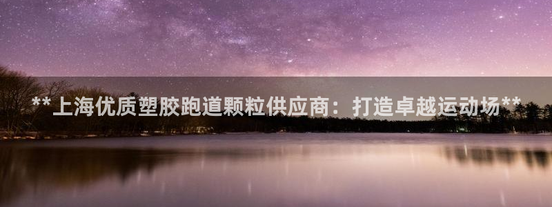 尊龙最近一次露面：**上海优质塑胶跑道颗粒供应商：打造卓越运动场**