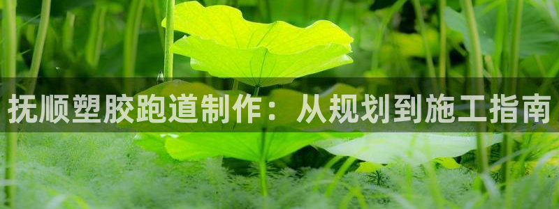 凯时平台官网RA来就送38：抚顺塑胶跑道制作：从规划到施工指南