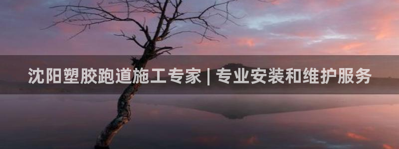 尊龙凯时凯发官网：沈阳塑胶跑道施工专家 | 专业安装和维护服务