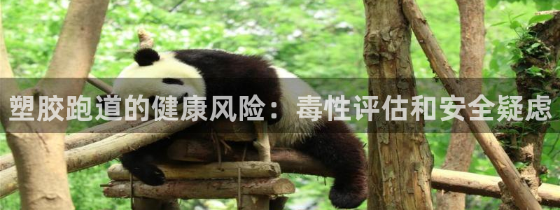 凯时kb88官网网址：塑胶跑道的健康风险：毒性评估和安全疑虑