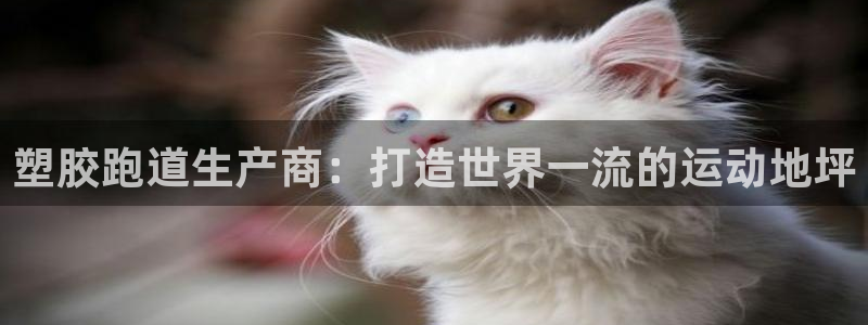 尊龙凯时产品系列：塑胶跑道生产商：打造世界一流的运动地坪