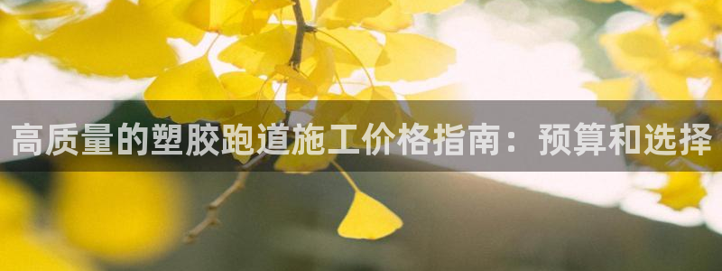 凯时登录界面：高质量的塑胶跑道施工价格指南：预算和选择