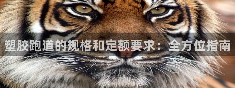 尊龙人生就是博d88官方网站：塑胶跑道的规格和定额要