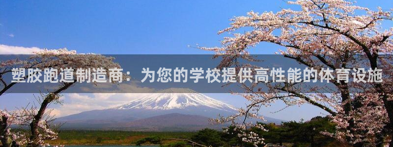 尊龙凯时始人生就是博：塑胶跑道制造商：为您的学校提供