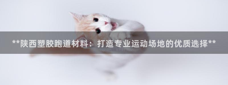 尊龙凯时官网登录入口：**陕西塑胶跑道材料：打造专业