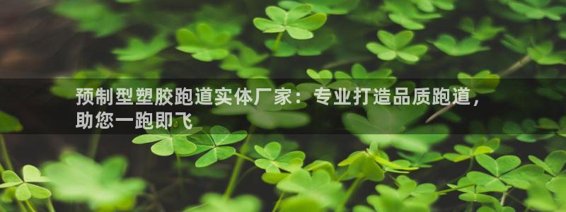 尊龙凯时官网首页：预制型塑胶跑道实体厂家：专业打造品质跑道，
助您一跑即飞