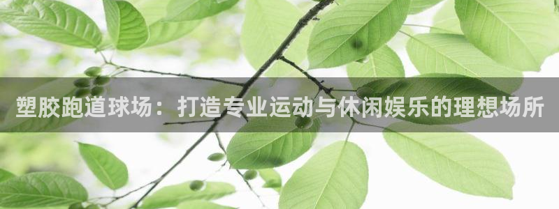 凯时APP官网首页：塑胶跑道球场：打造专业运动与休闲娱乐的理想场所