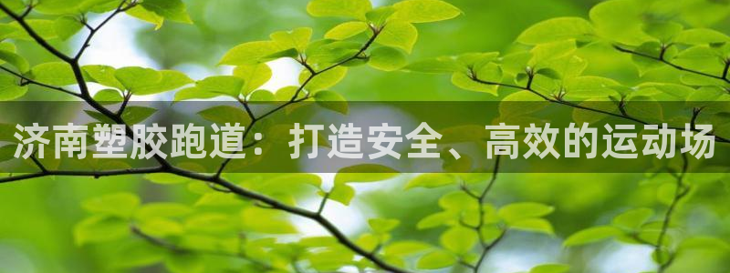 尊龙凯时网娱乐最新版下载：济南塑胶跑道：打造安全、高效的运动场