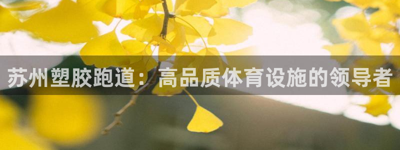 凯时K8国际：苏州塑胶跑道：高品质体育设施的领导者