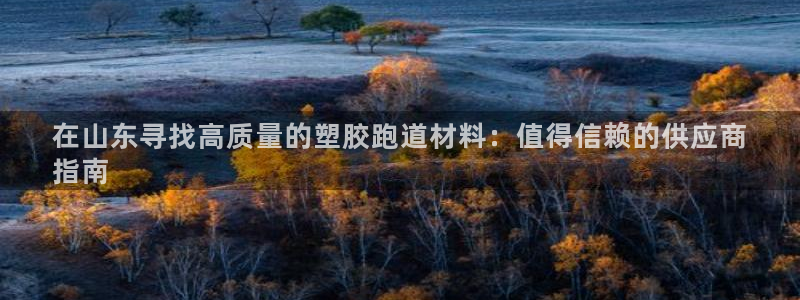 尊龙凯时vip：在山东寻找高质量的塑胶跑道材料：值得信赖的供应商
指南