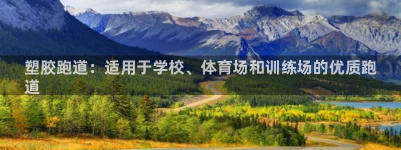 尊龙500价格：塑胶跑道：适用于学校、体育场和训练场