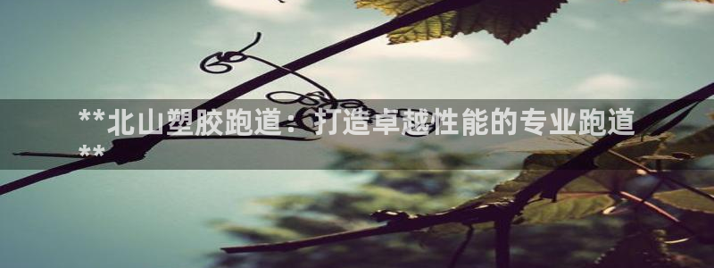 尊龙官方APP下载