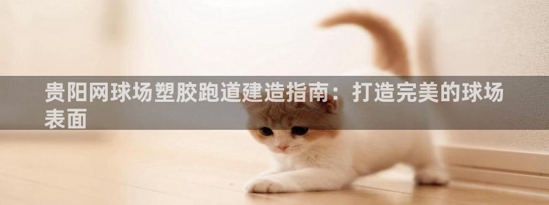 尊龙目前在哪：贵阳网球场塑胶跑道建造指南：打造完美的