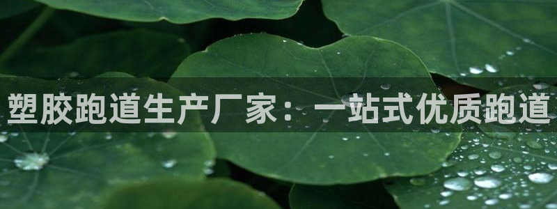凯时K66最新版本下载：塑胶跑道生产厂家：一站式优质跑道