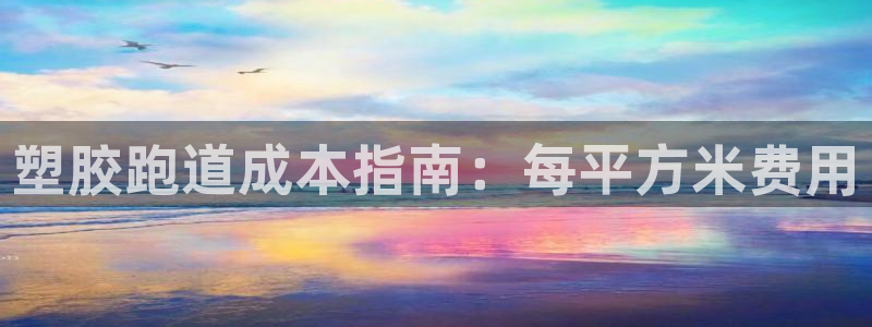 尊龙新版app首页：塑胶跑道成本指南：每平方米费用