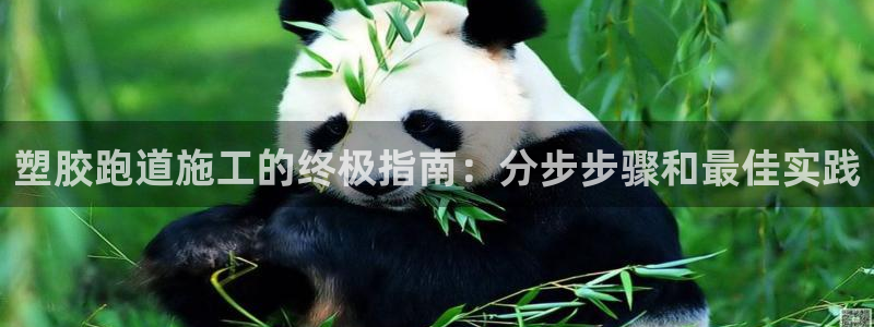 尊龙凯时家居是品牌吗：塑胶跑道施工的终极指南：分步步骤和最佳实践