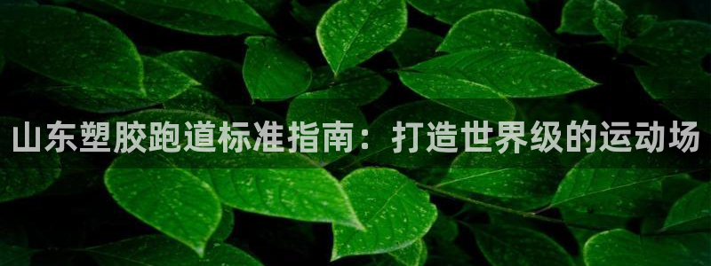 尊龙凯时美金能提取吗：山东塑胶跑道标准指南：打造世界级的运动场