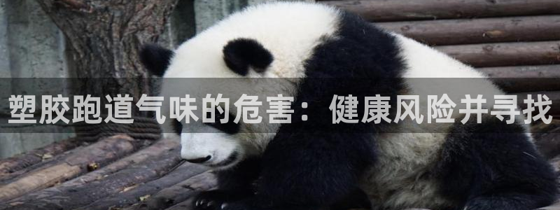 凯时K66最新版本下载：塑胶跑道气味的危害：健康风险