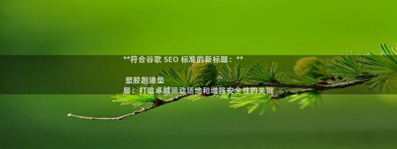 尊龙官网入口：**符合谷歌 SEO 标准的新标题：**

 塑胶跑道垫
层：打造卓越运动场地和增强安全性的关键