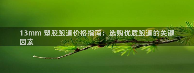 尊龙人生就是博旧版手机可靠送38元：13mm 塑胶跑道价格指南：选购优质跑道的关键
因素