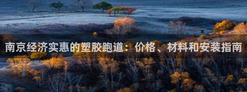 尊龙人生就是博一下下：南京经济实惠的塑胶跑道：价格、材料和安装指南