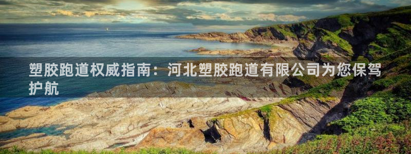 尊龙凯时口碑好吗：塑胶跑道权威指南：河北塑胶跑道有限