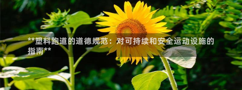 尊龙凯时发展历程：**塑料跑道的道德规范：对可持续和安全运动设施的
指南**