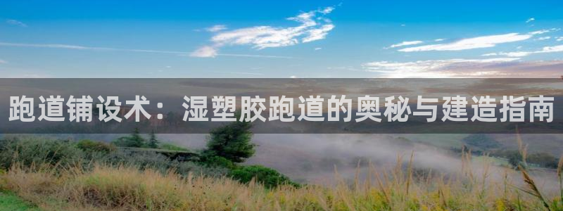 尊龙内地：跑道铺设术：湿塑胶跑道的奥秘与建造指南