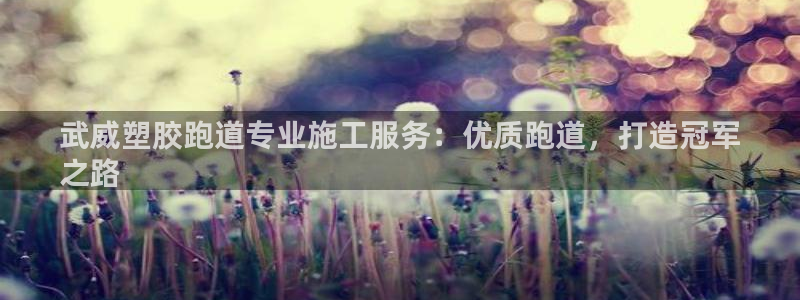 尊龙服饰品牌介绍：武威塑胶跑道专业施工服务：优质跑道