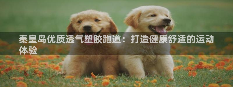 ag尊龙凯时官网：秦皇岛优质透气塑胶跑道：打造健康舒适的运动
体验