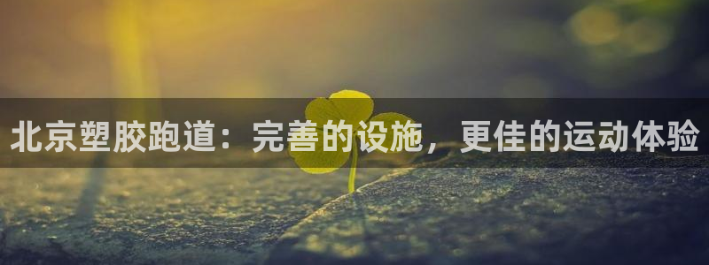 尊龙凯时代理：北京塑胶跑道：完善的设施，更佳的运动体验