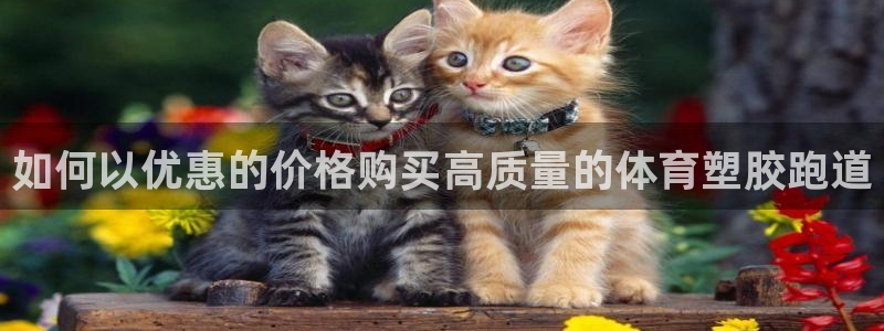 尊龙公司：如何以优惠的价格购买高质量的体育塑胶跑道