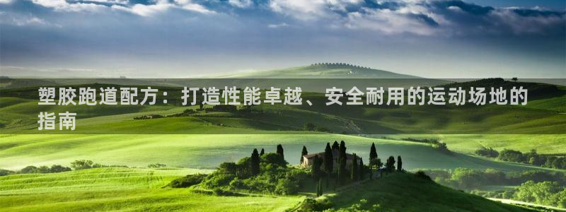 尊龙凯时老板是谁：塑胶跑道配方：打造性能卓越、安全耐用的运动场地的
指南