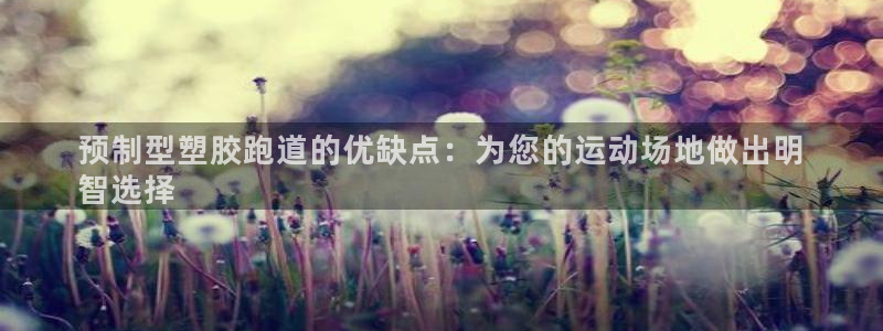 尊龙2016：预制型塑胶跑道的优缺点：为您的运动场地做出明
智选择