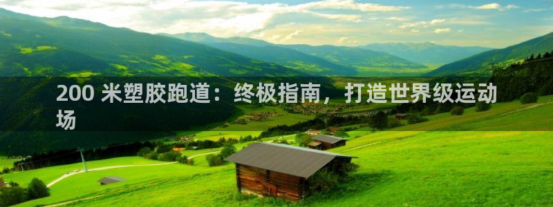 尊龙人生就是博ag：200 米塑胶跑道：终极指南，打造世界级运动
场