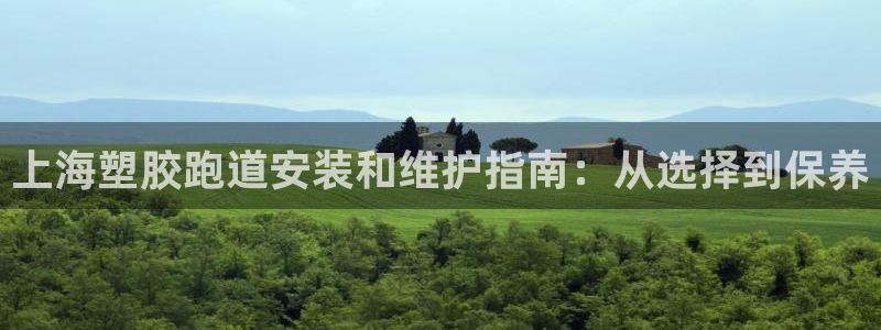 尊龙官方：上海塑胶跑道安装和维护指南：从选择到保养